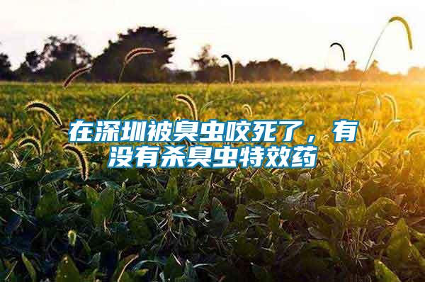 在深圳被臭蟲咬死了，有沒有殺臭蟲特效藥