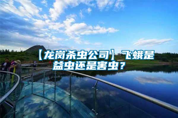【龍崗殺蟲(chóng)公司】飛蛾是益蟲(chóng)還是害蟲(chóng)？