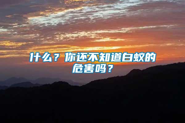 什么？你還不知道白蟻的危害嗎？