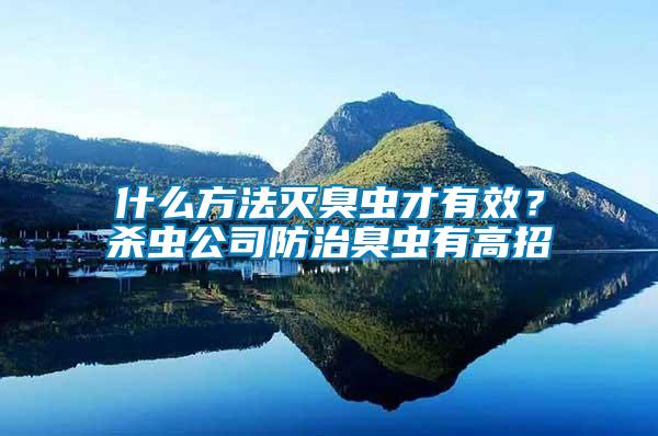 什么方法滅臭蟲(chóng)才有效？殺蟲(chóng)公司防治臭蟲(chóng)有高招