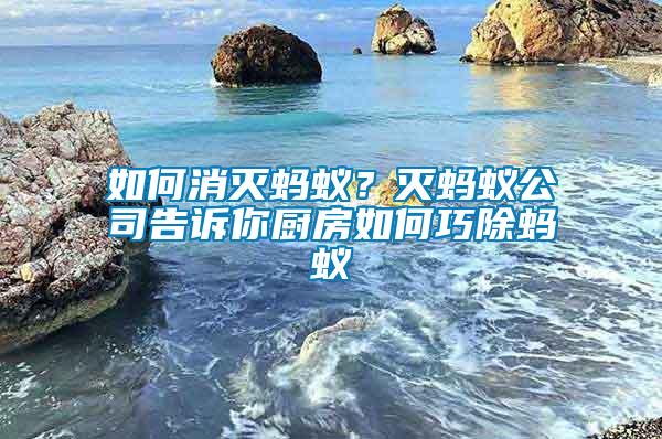 如何消滅螞蟻?滅螞蟻公司告訴你廚房如何巧除螞蟻
