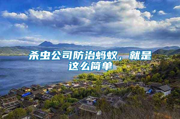 殺蟲公司防治螞蟻，就是這么簡單