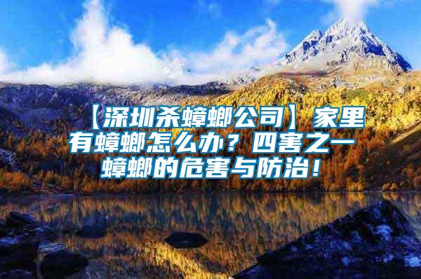 【深圳殺蟑螂公司】家里有蟑螂怎么辦？四害之一蟑螂的危害與防治！