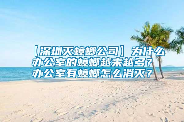【深圳滅蟑螂公司】為什么辦公室的蟑螂越來越多？辦公室有蟑螂怎么消滅？