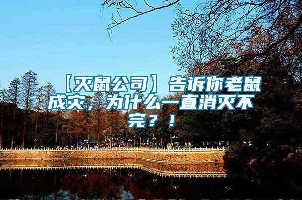 【滅鼠公司】告訴你老鼠成災(zāi)，為什么一直消滅不完？！