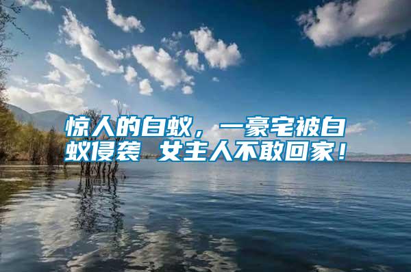 驚人的白蟻，一豪宅被白蟻侵襲 女主人不敢回家！
