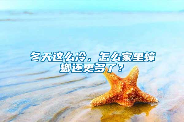 冬天這么冷，怎么家里蟑螂還更多了？