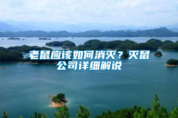 老鼠應(yīng)該如何消滅？滅鼠公司詳細(xì)解說(shuō)