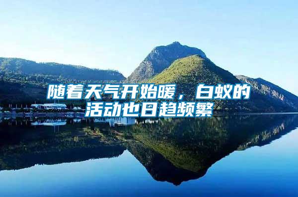 隨著天氣開始暖，白蟻的活動也日趨頻繁