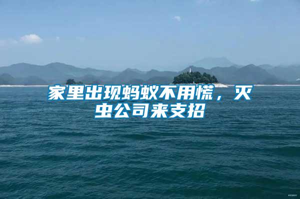 家里出現螞蟻不用慌，滅蟲公司來支招