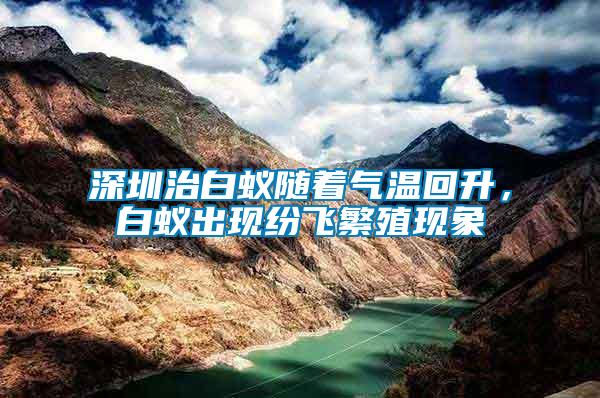 深圳治白蟻隨著氣溫回升，白蟻出現(xiàn)紛飛繁殖現(xiàn)象