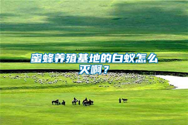 蜜蜂養殖基地的白蟻怎么滅啊?