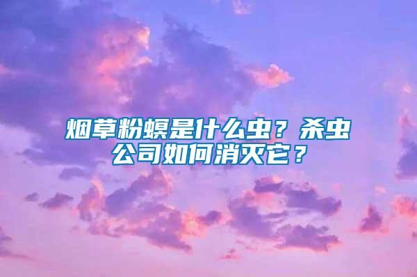 煙草粉螟是什么蟲(chóng)？殺蟲(chóng)公司如何消滅它？