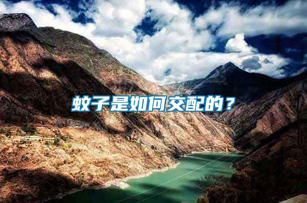 蚊子是如何交配的？