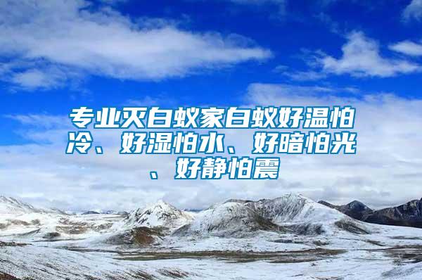專業滅白蟻家白蟻好溫怕冷、好濕怕水、好暗怕光、好靜怕震