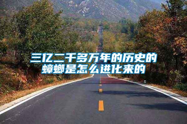 三億二千多萬(wàn)年的歷史的蟑螂是怎么進(jìn)化來(lái)的