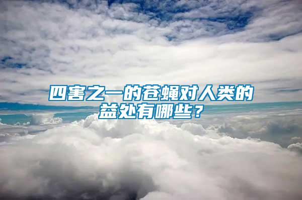 四害之一的蒼蠅對人類的益處有哪些？