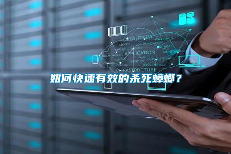 如何快速有效的殺死蟑螂？