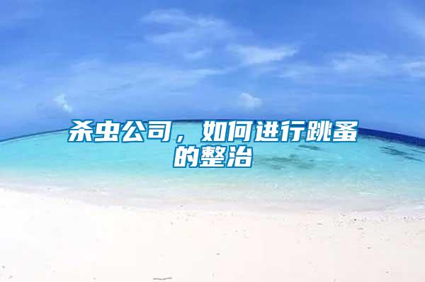 殺蟲公司，如何進(jìn)行跳蚤的整治
