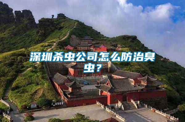 深圳殺蟲公司怎么防治臭蟲？