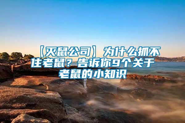 【滅鼠公司】為什么抓不住老鼠？告訴你9個關于老鼠的小知識