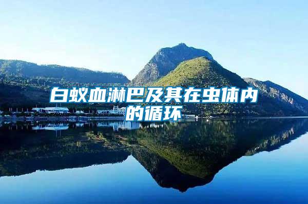 白蟻血淋巴及其在蟲體內的循環(huán)