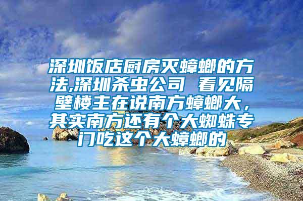 深圳飯店廚房滅蟑螂的方法,深圳殺蟲公司 看見隔壁樓主在說南方蟑螂大，其實(shí)南方還有個大蜘蛛專門吃這個大蟑螂的