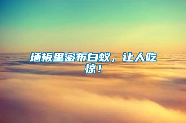 墻板里密布白蟻，讓人吃驚！