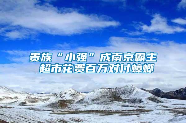 貴族“小強(qiáng)”成南京霸主 超市花費(fèi)百萬對付蟑螂