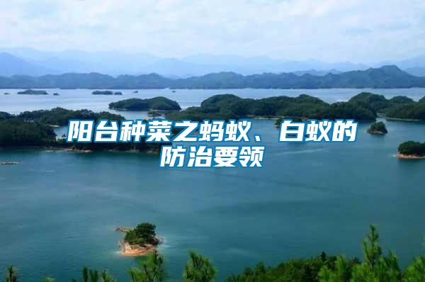 陽臺種菜之螞蟻、白蟻的防治要領