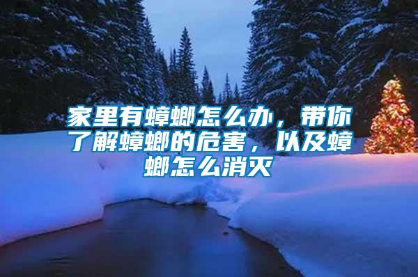 家里有蟑螂怎么辦，帶你了解蟑螂的危害，以及蟑螂怎么消滅
