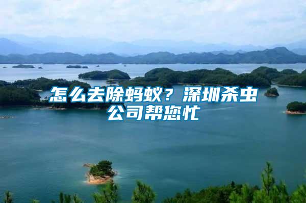怎么去除螞蟻？深圳殺蟲公司幫您忙