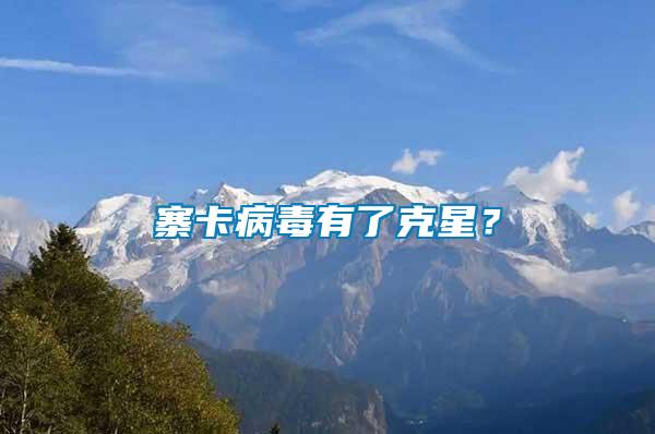 寨卡病毒有了克星？