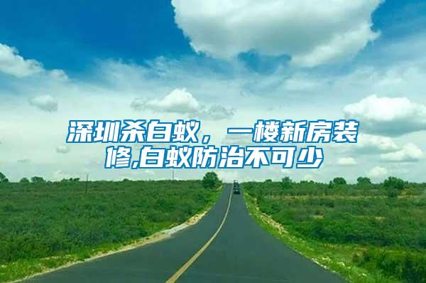 深圳殺白蟻，一樓新房裝修,白蟻防治不可少