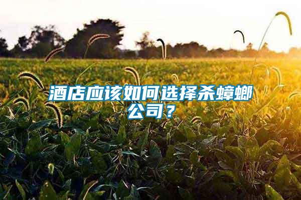 酒店應該如何選擇殺蟑螂公司？
