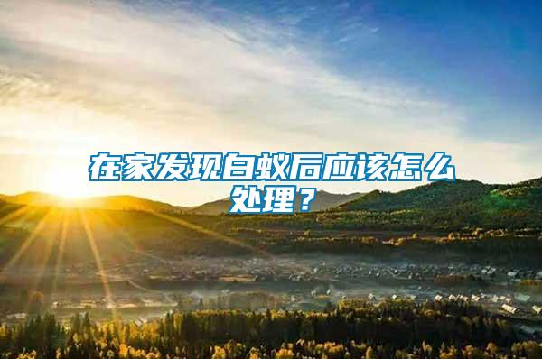 在家發現白蟻后應該怎么處理？