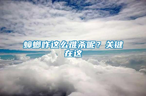 蟑螂咋這么難殺呢？關鍵在這