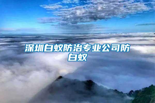深圳白蟻防治專(zhuān)業(yè)公司防白蟻