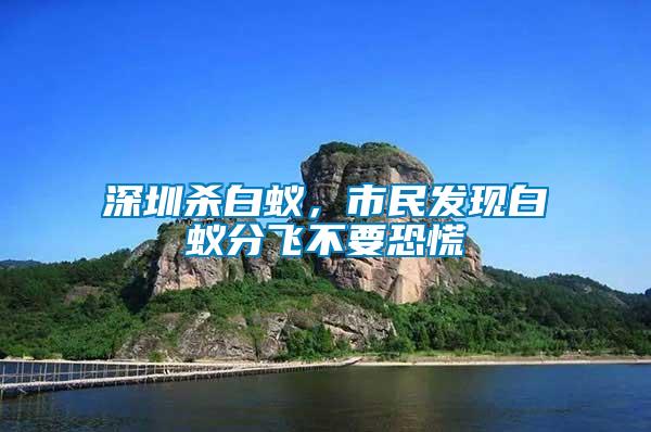 深圳殺白蟻，市民發(fā)現(xiàn)白蟻分飛不要恐慌