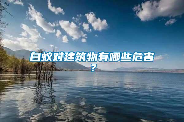 白蟻對建筑物有哪些危害？