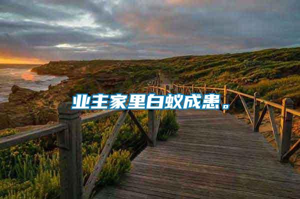 業主家里白蟻成患。