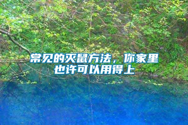 常見(jiàn)的滅鼠方法，你家里也許可以用得上