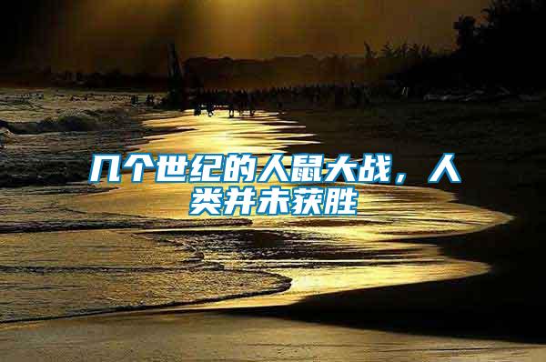 幾個世紀的人鼠大戰，人類并未獲勝