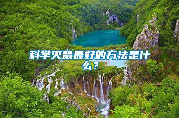 科學滅鼠最好的方法是什么？