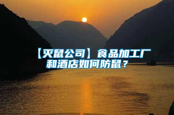 【滅鼠公司】食品加工廠和酒店如何防鼠？