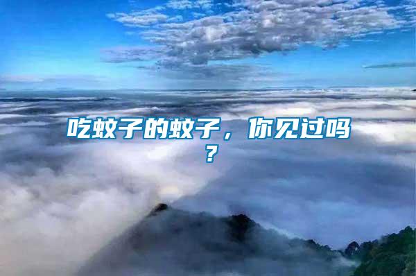 吃蚊子的蚊子，你見(jiàn)過(guò)嗎？