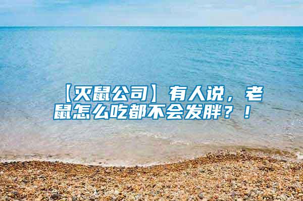 【滅鼠公司】有人說，老鼠怎么吃都不會發胖？！