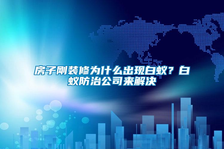 房子剛裝修為什么出現白蟻？白蟻防治公司來解決