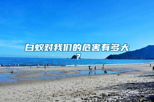 白蟻對我們的危害有多大？