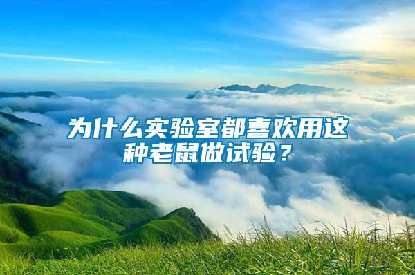 為什么實驗室都喜歡用這種老鼠做試驗？